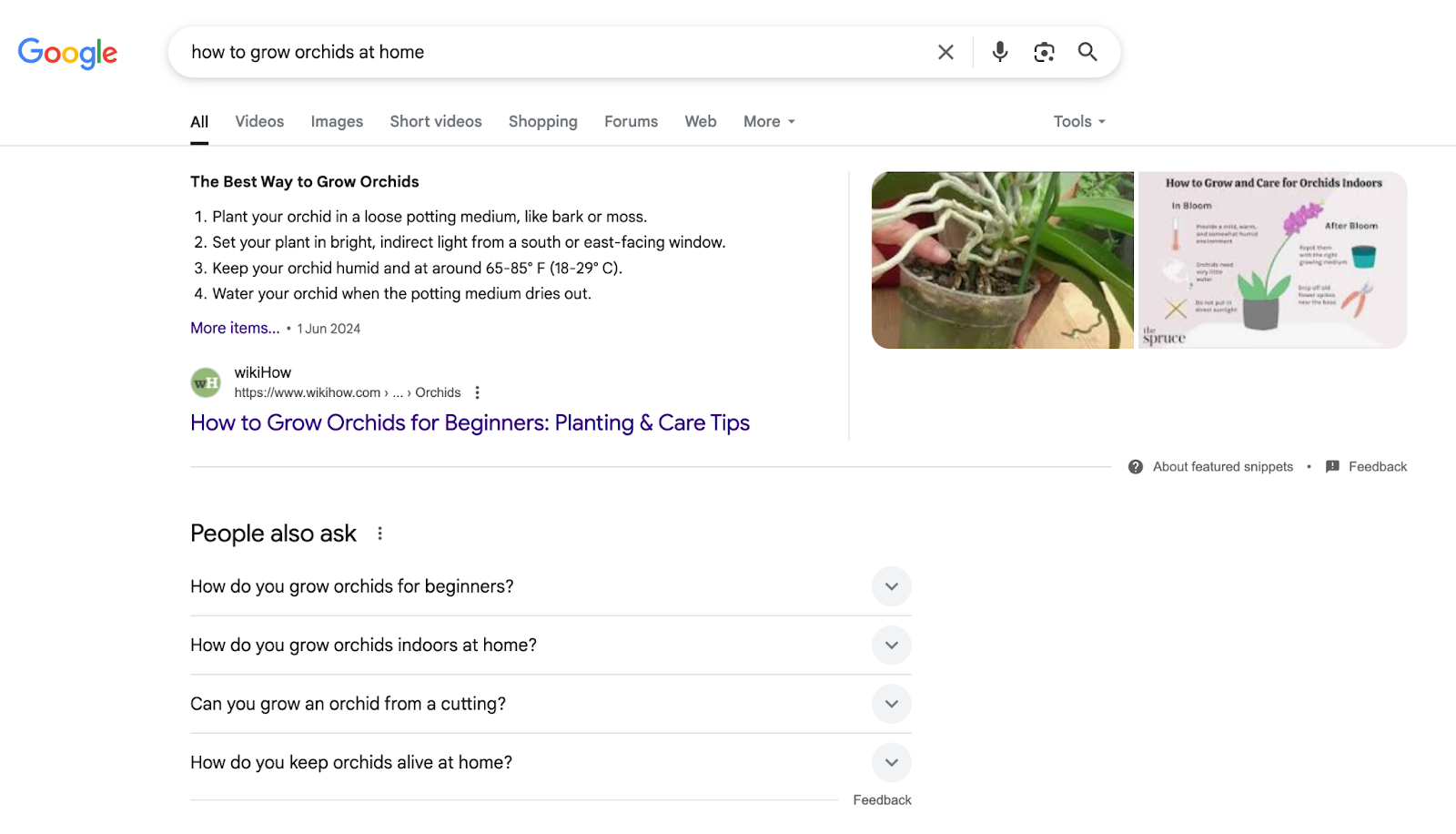 featured snippet