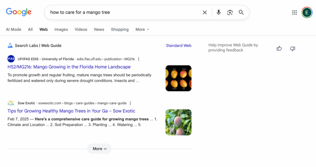 How Google Web Guide will appear
